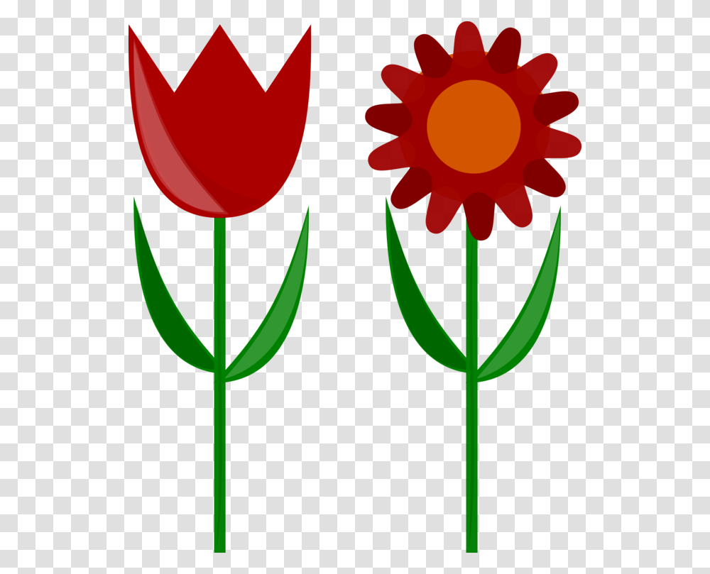 Drawing Flower Paper Computer Programming Sticker, Plant, Blossom, Tulip, Daisy Transparent Png