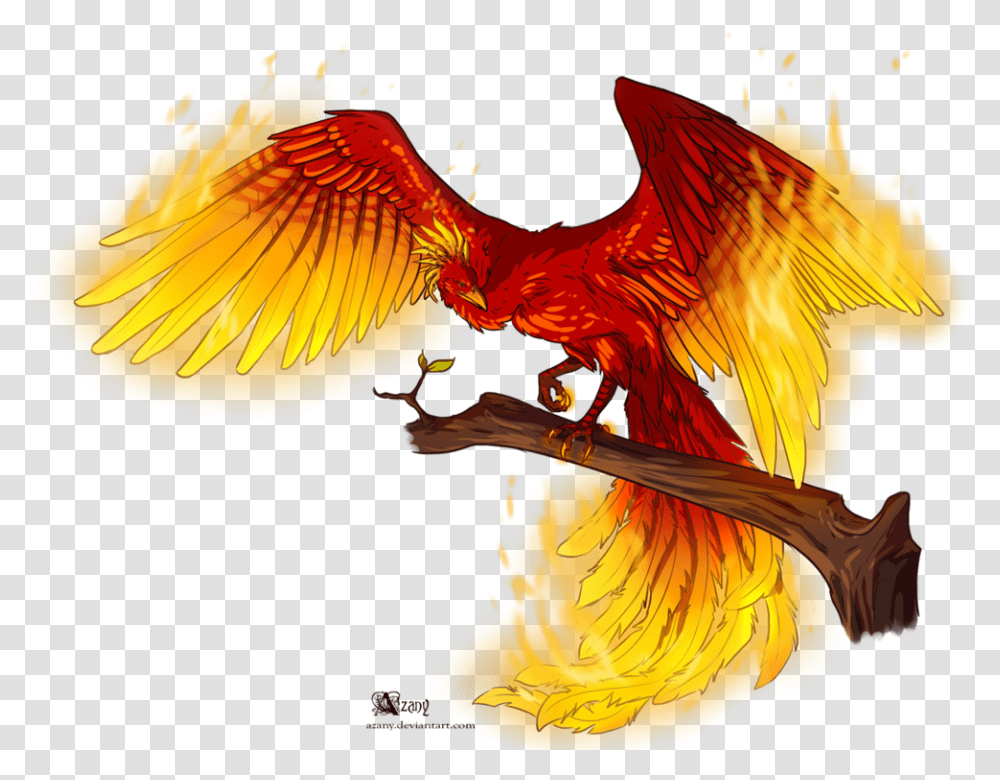Drawing For Free Phoenix With White Background, Bird, Animal, Modern Art Transparent Png