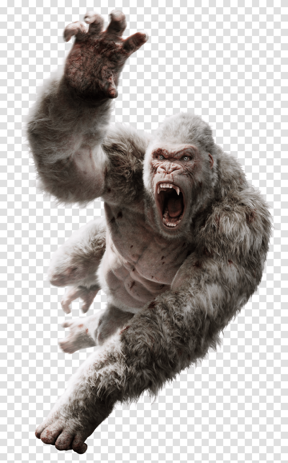 Drawing Godzilla Foot Rampage George Vs King Kong, Wildlife, Animal, Mammal, Bat Transparent Png