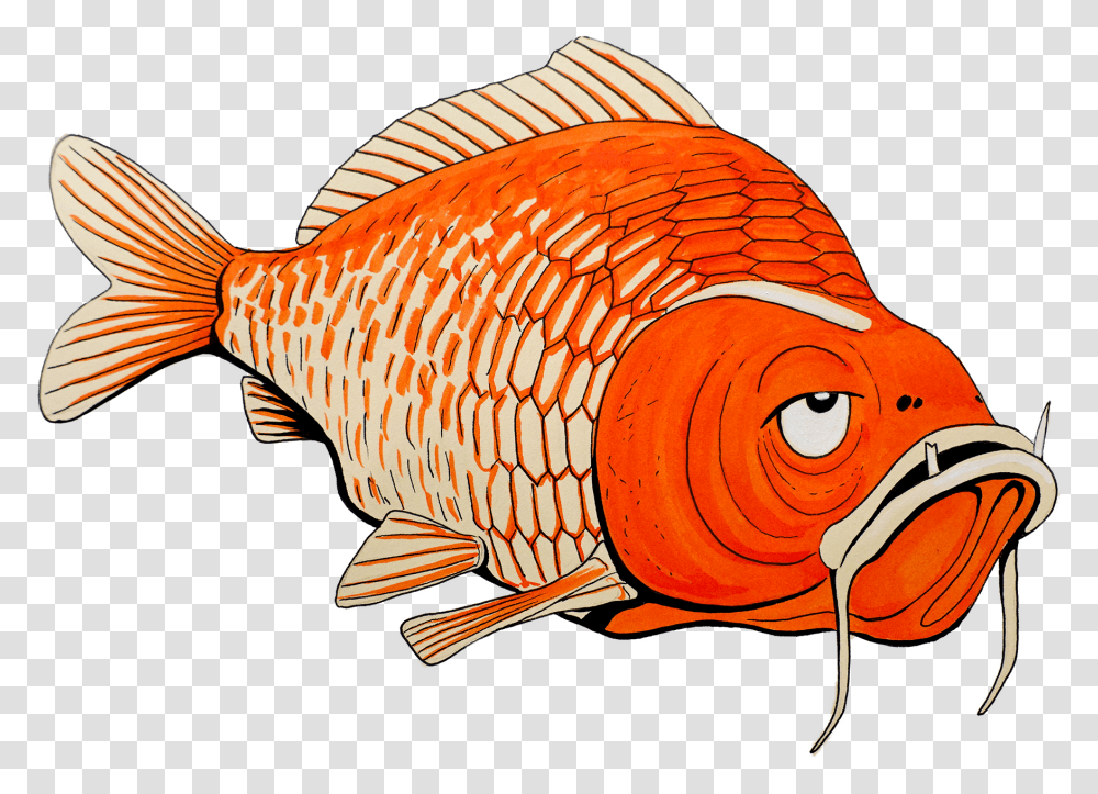 Drawing Goldfish Pretty Coral Reef Fish, Animal, Bird Transparent Png