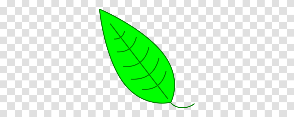Drawing Green Leaf Line Art Computer Icons, Plant, Photography, Vegetation Transparent Png
