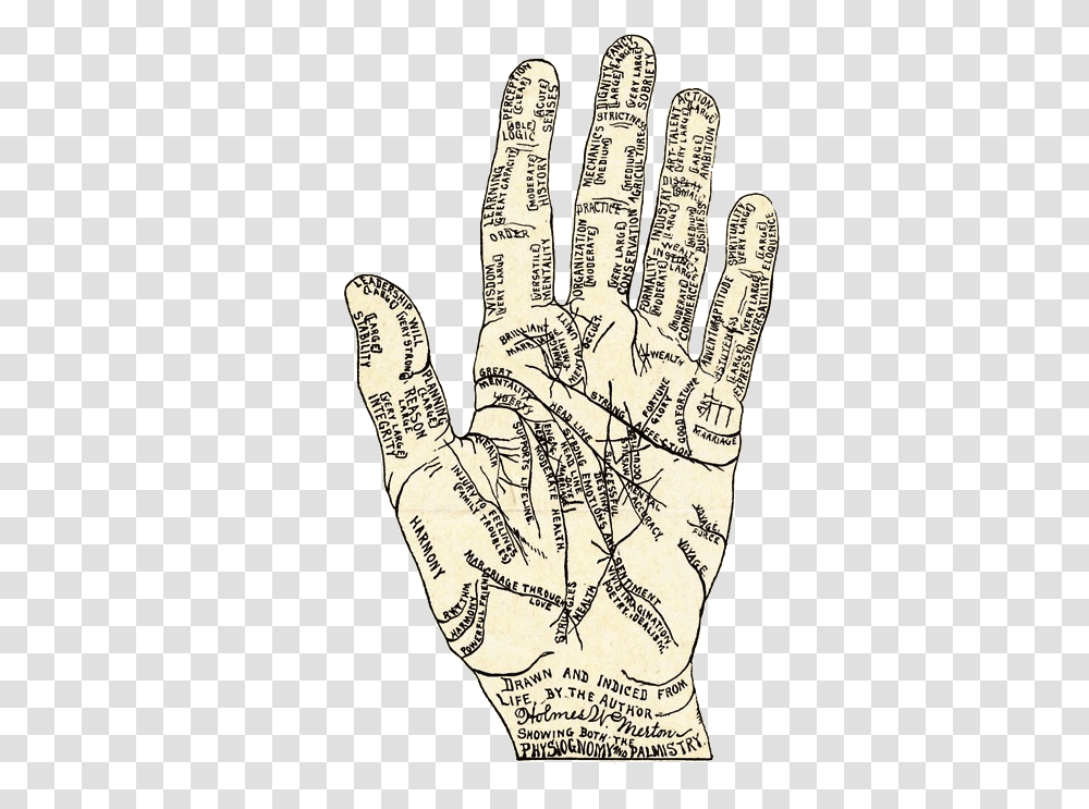 Drawing, Hand, Finger Transparent Png