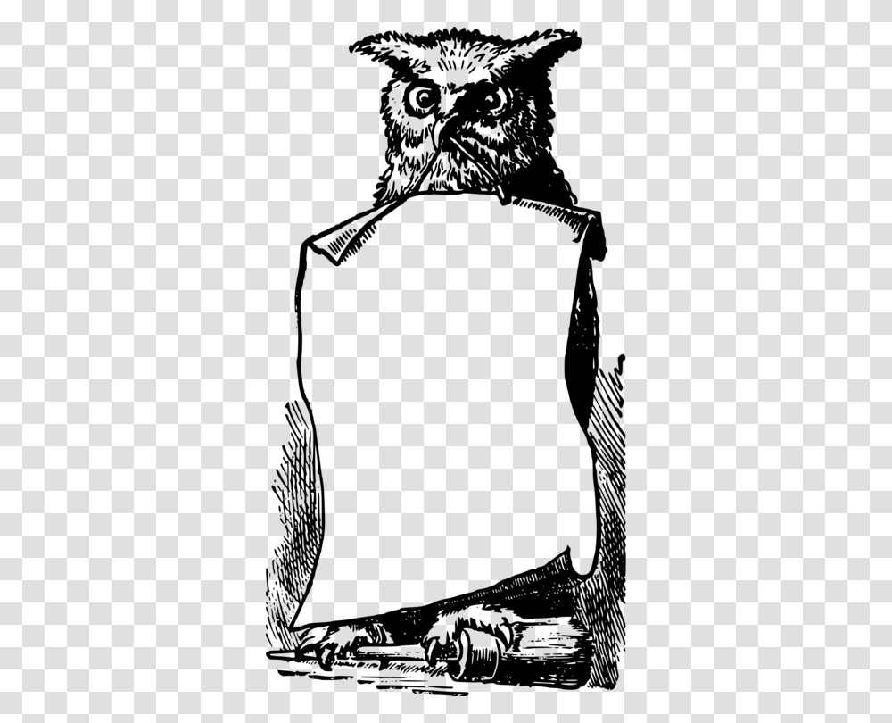 Drawing Harry Potter Owl Pictures, Gray, World Of Warcraft Transparent Png