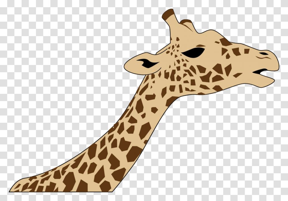 Drawing Head West African Giraffe Download, Wildlife, Mammal, Animal Transparent Png
