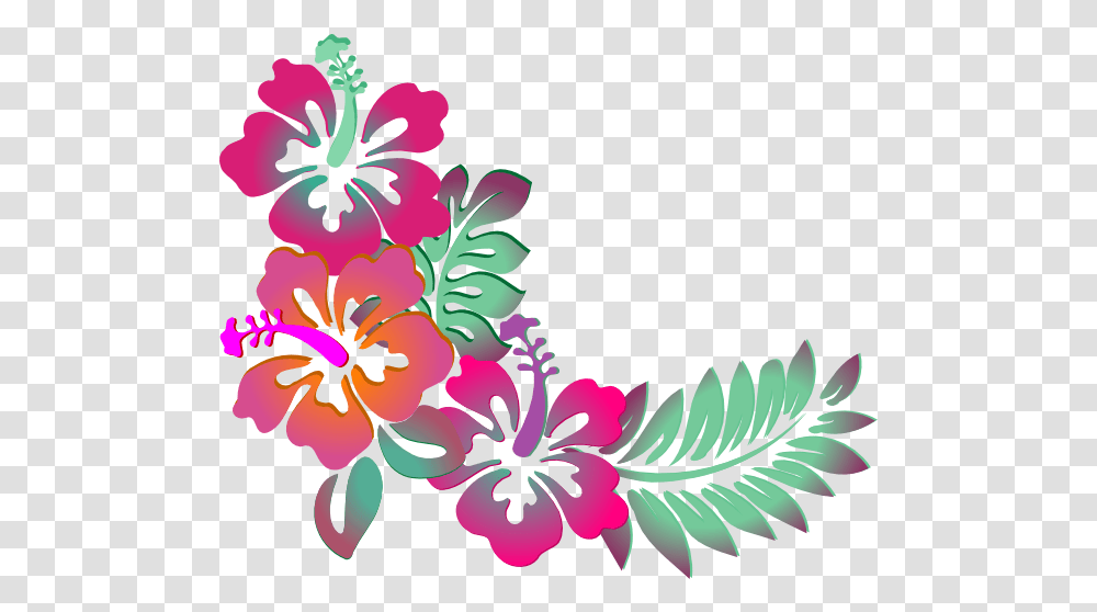 Drawing Hibiscus & Clipart Free Download Ywd Clip Art Hibiscus, Graphics, Floral Design, Pattern, Plant Transparent Png