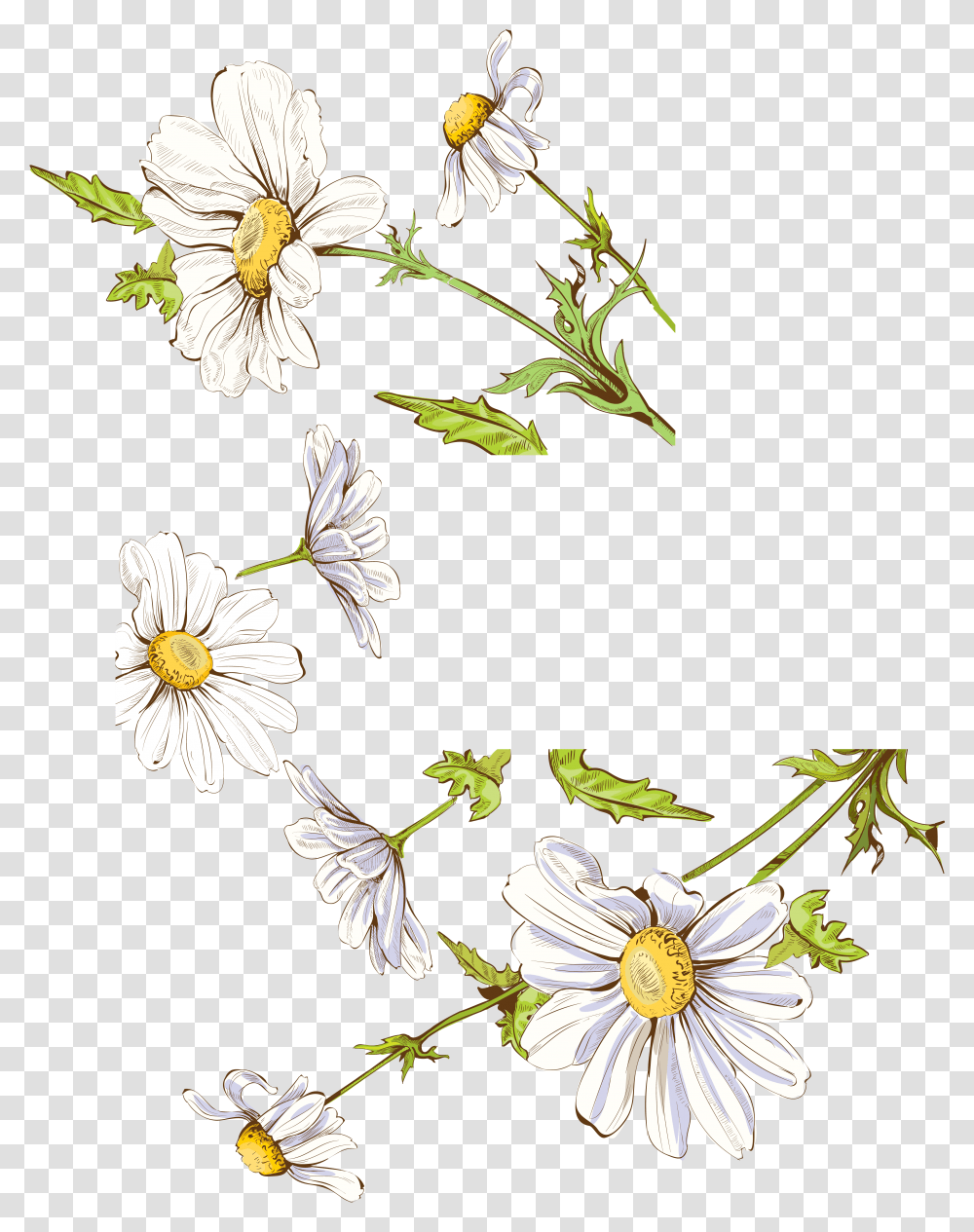 Drawing Illustration Fresh Painted Floral Decoration Illustration, Floral Design, Pattern Transparent Png