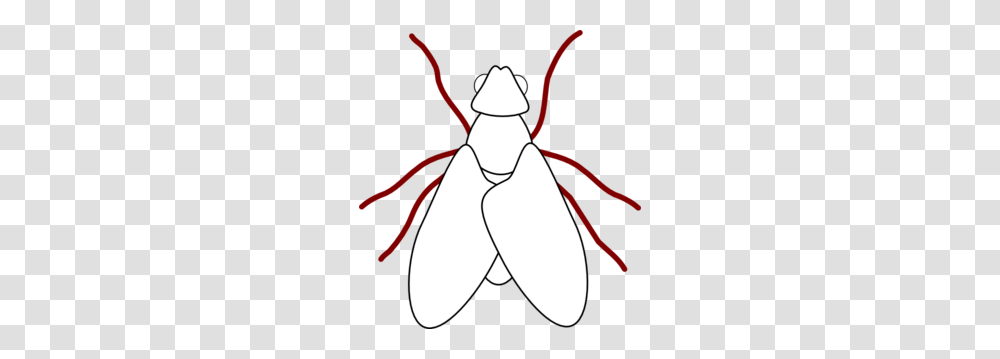Drawing Images Icon Cliparts, Insect, Invertebrate, Animal, Person Transparent Png