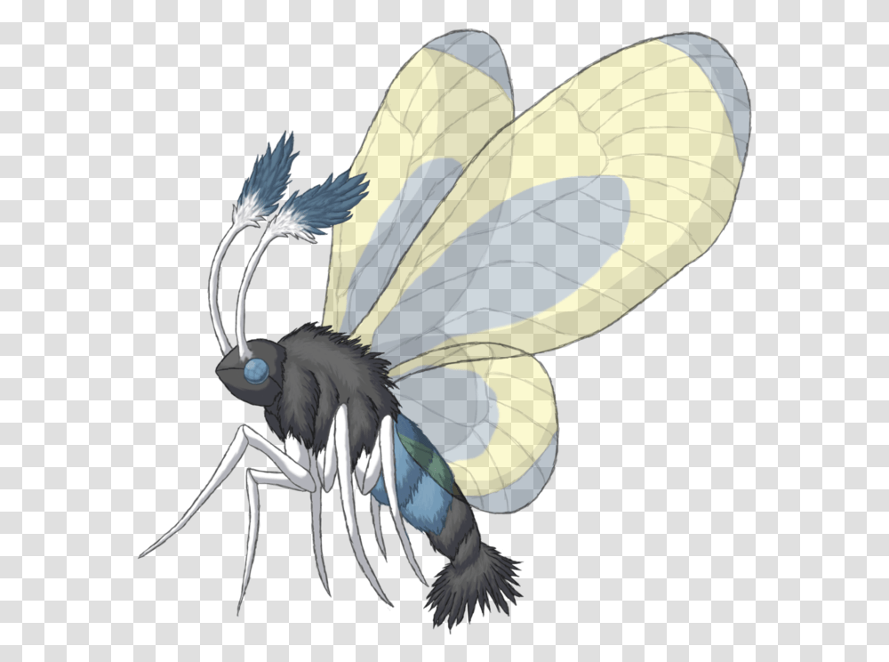 Drawing Insect Realistic Realistic Bug Pokemon, Invertebrate, Animal, Bird, Wasp Transparent Png