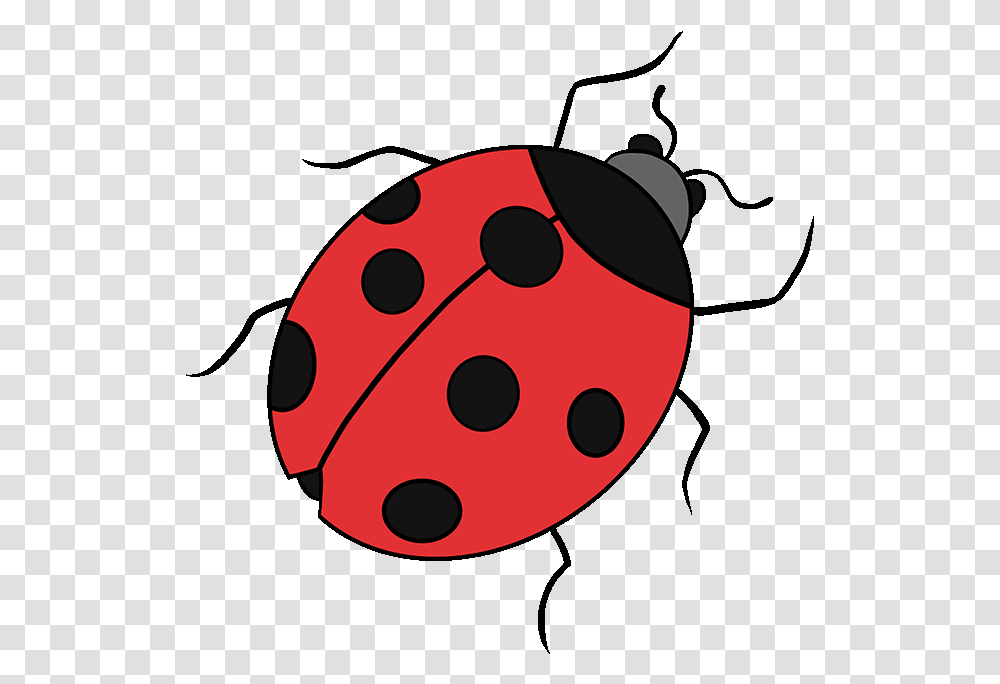 Drawing Ladybird Beetle Image Tutorial Clip Art, Dice, Game Transparent Png