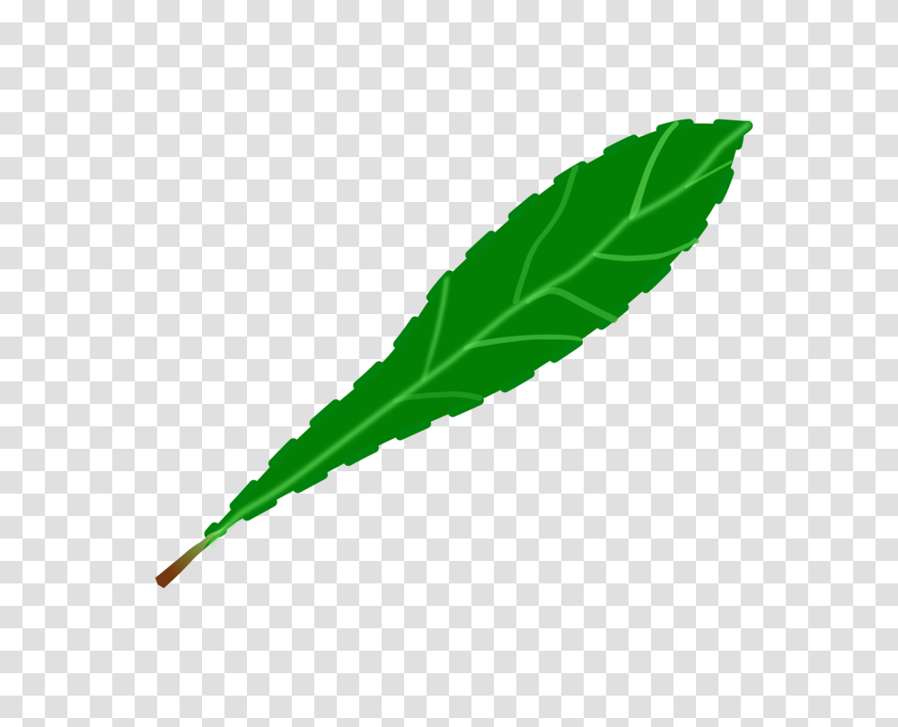 Drawing Leaf Computer Icons Green Watercolor Painting Free, Plant, Vegetable, Food, Veins Transparent Png
