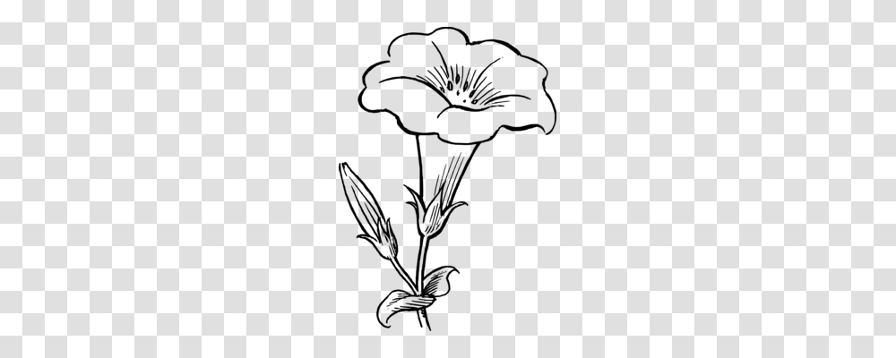 Drawing Leaf Flower Watercolor Painting Art, Gray, World Of Warcraft Transparent Png