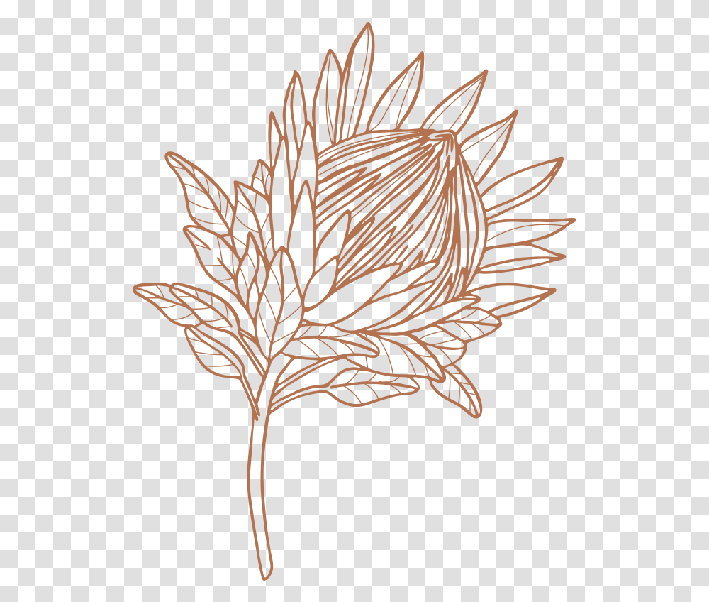 Drawing, Leaf, Plant, Bird, Tree Transparent Png