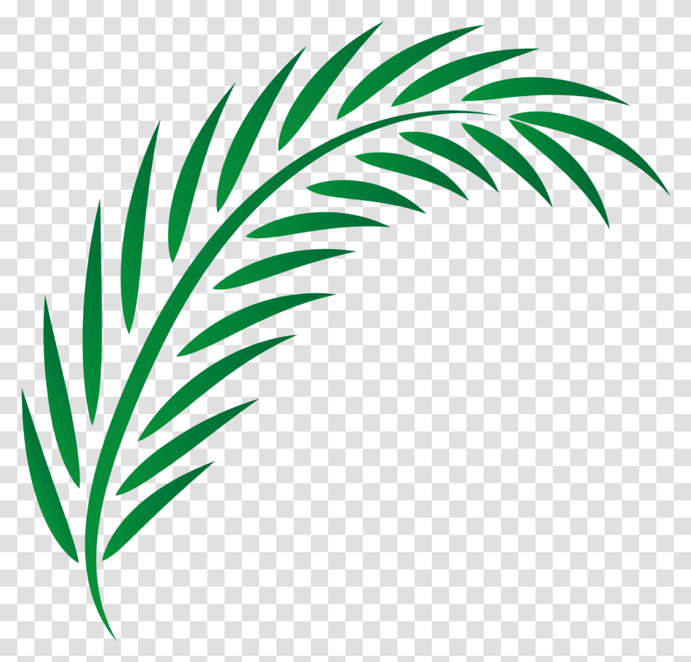 Drawing Leaves Transprent Vector Palm Leaf, Green, Plant, Bird, Animal Transparent Png