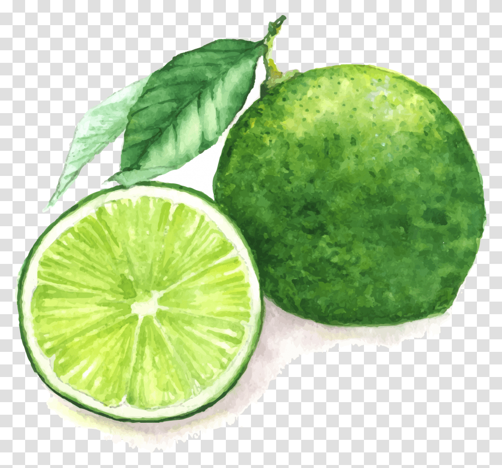 Drawing Lemon Sweet Lime, Citrus Fruit, Plant, Food, Leaf Transparent Png