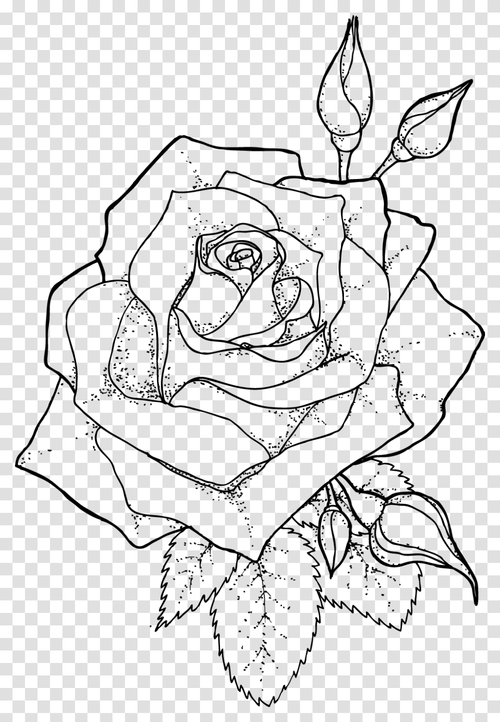 Drawing Line Art Coloring Book Roses Outline, Gray, World Of Warcraft Transparent Png