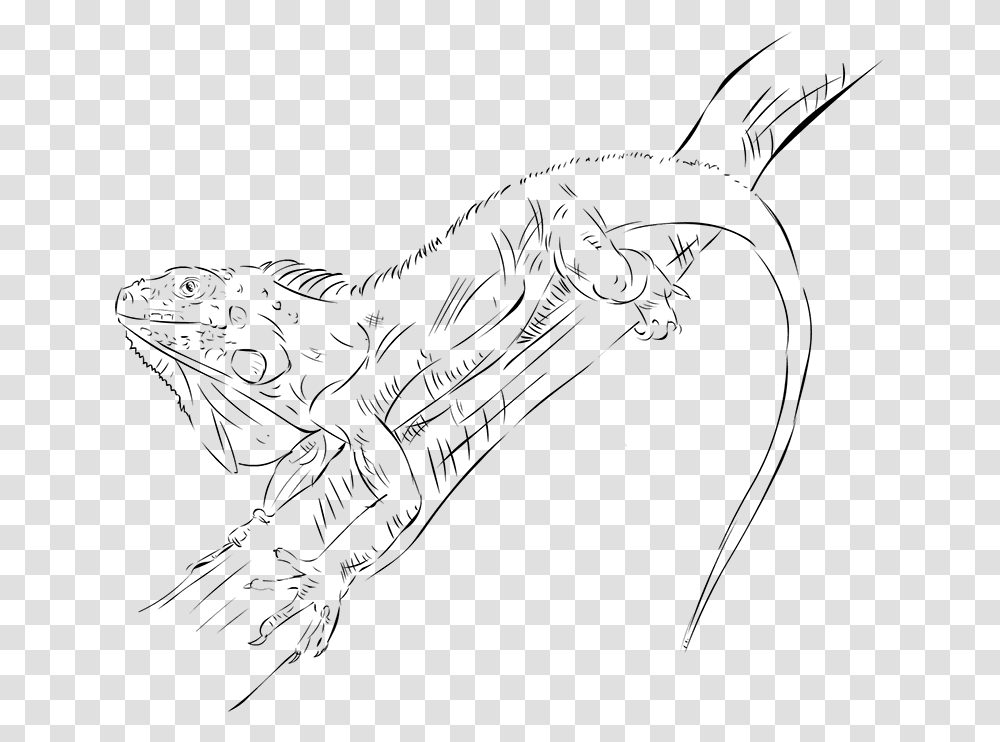 Drawing Line Art, Gray, World Of Warcraft Transparent Png