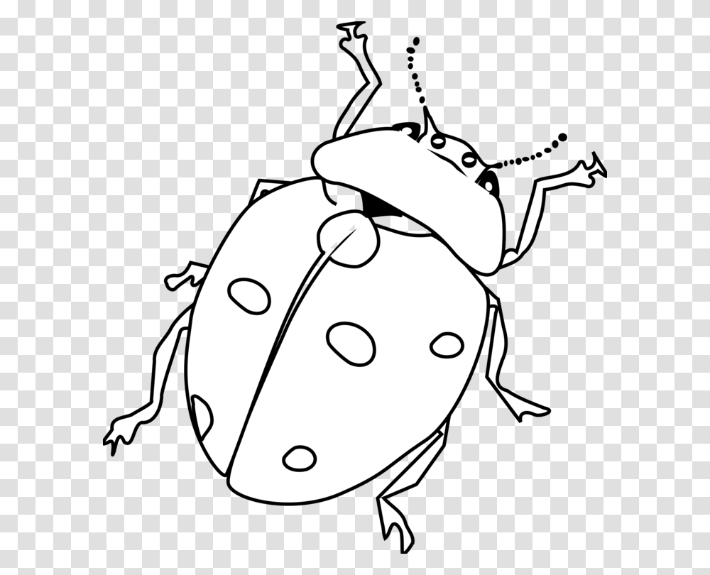 Drawing Line Art Ladybird Beetle Black And White, Stencil, Outdoors, Nature, Wasp Transparent Png
