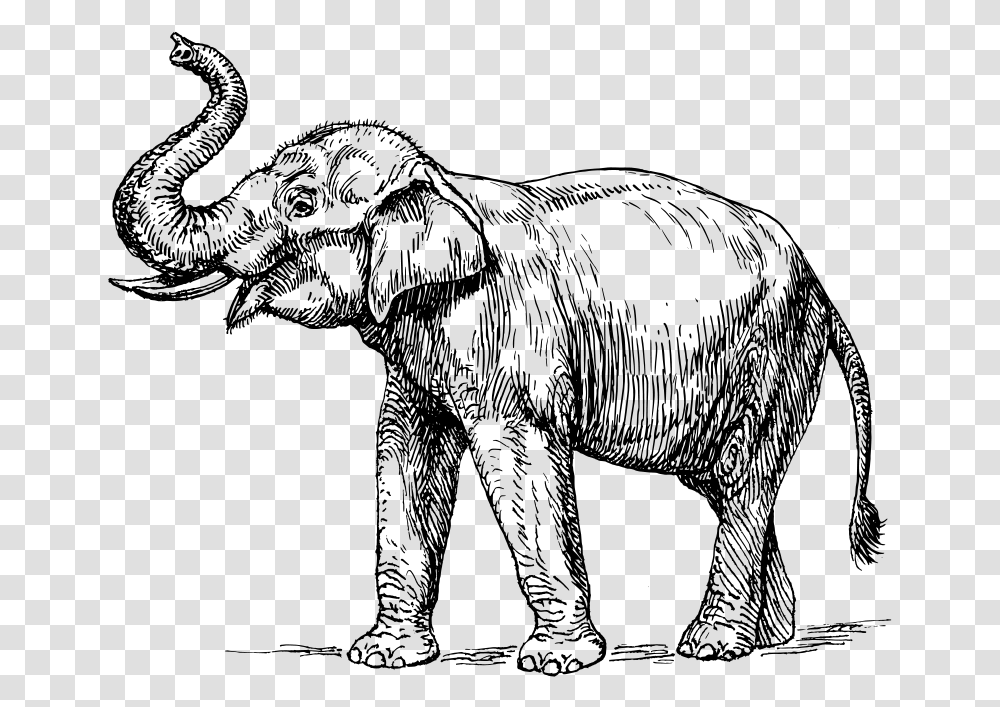 Drawing Line Elephant Huge Black And White Elephant, Gray, World Of Warcraft Transparent Png