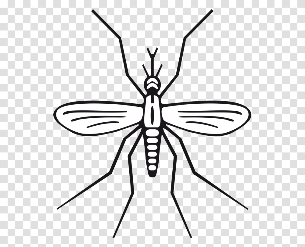 Drawing Marsh Mosquitoes Computer Icons Download Fly Free, Insect, Invertebrate, Animal, Lamp Transparent Png