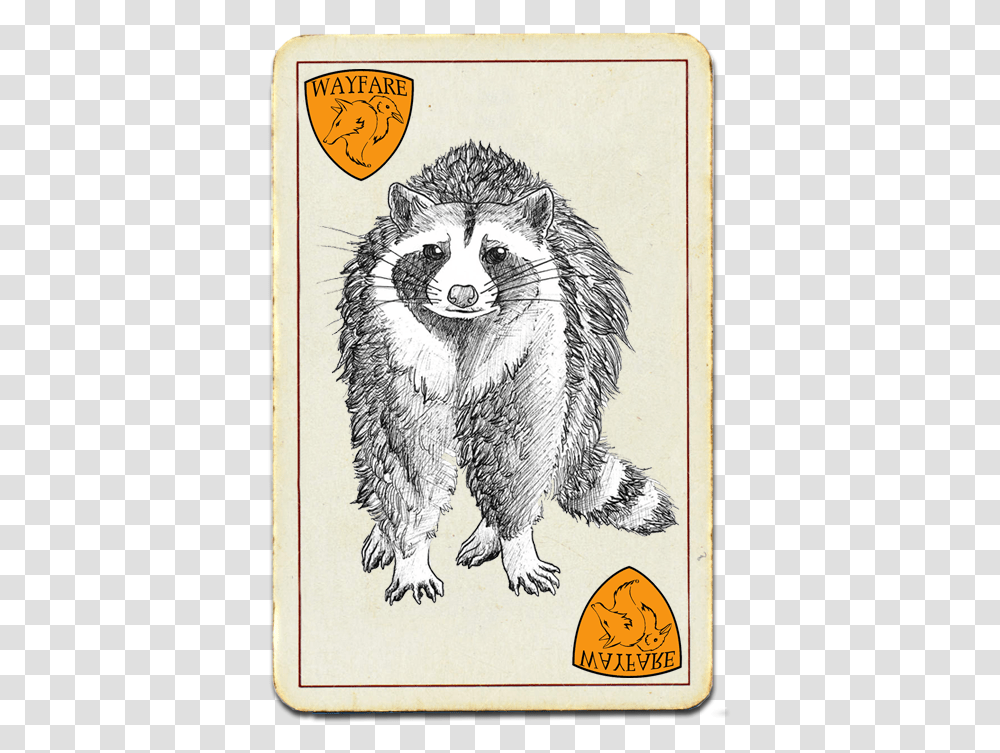 Drawing Of A Racoon Hog Nosed Skunk, Mammal, Animal, Raccoon, Bird Transparent Png