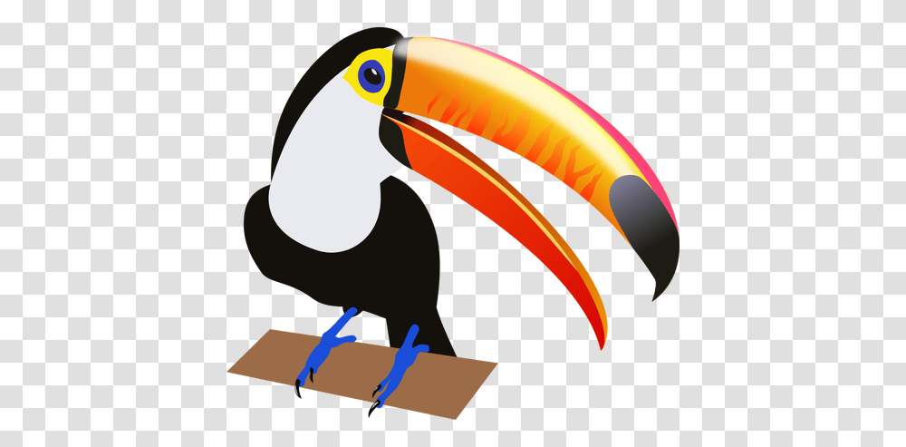 Drawing Of A Tropical Bird, Beak, Animal, Helmet Transparent Png