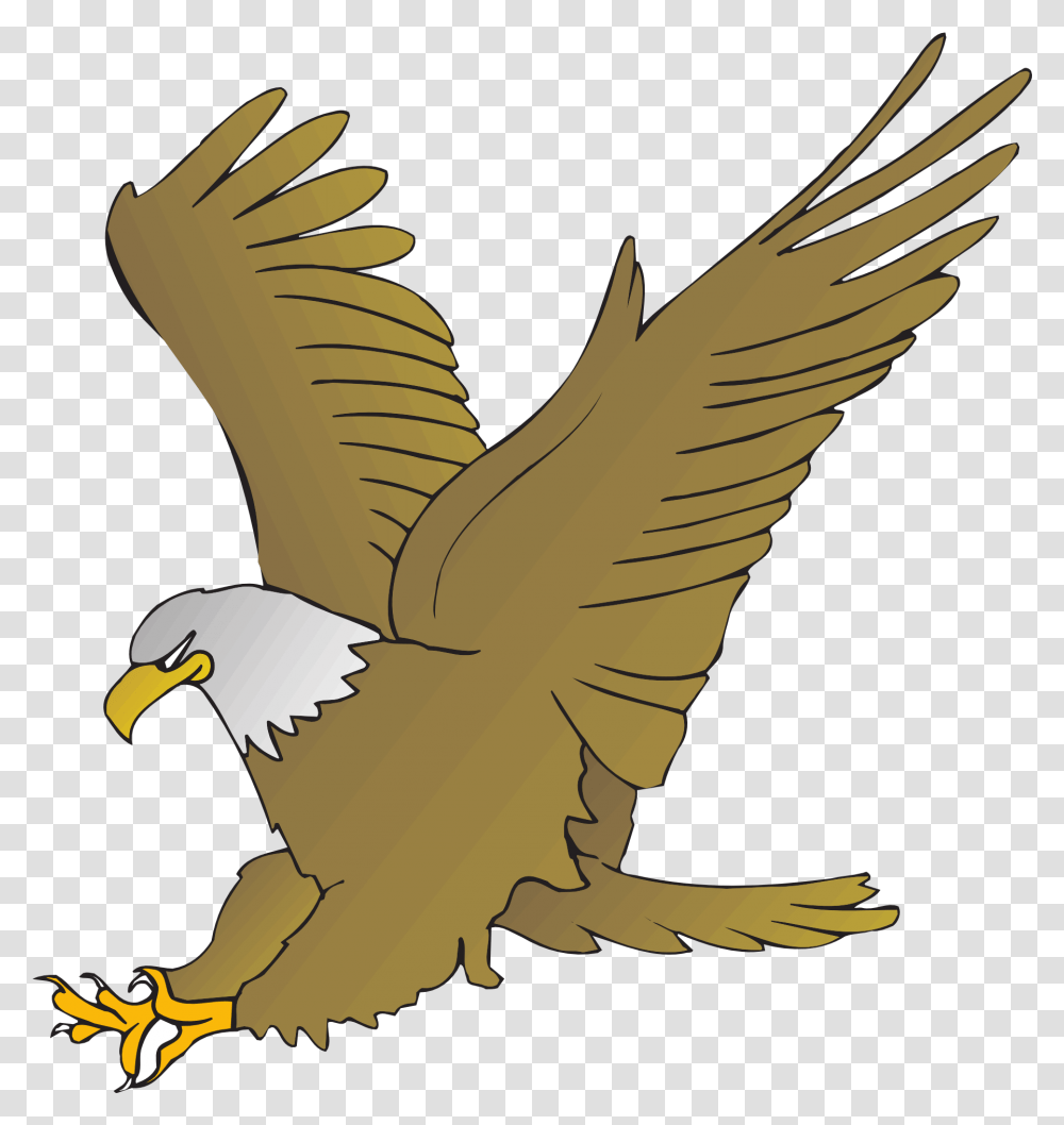 Drawing Of An Eagle With Spread Wings Animated Picture Of Eagle, Bird, Animal, Bald Eagle Transparent Png