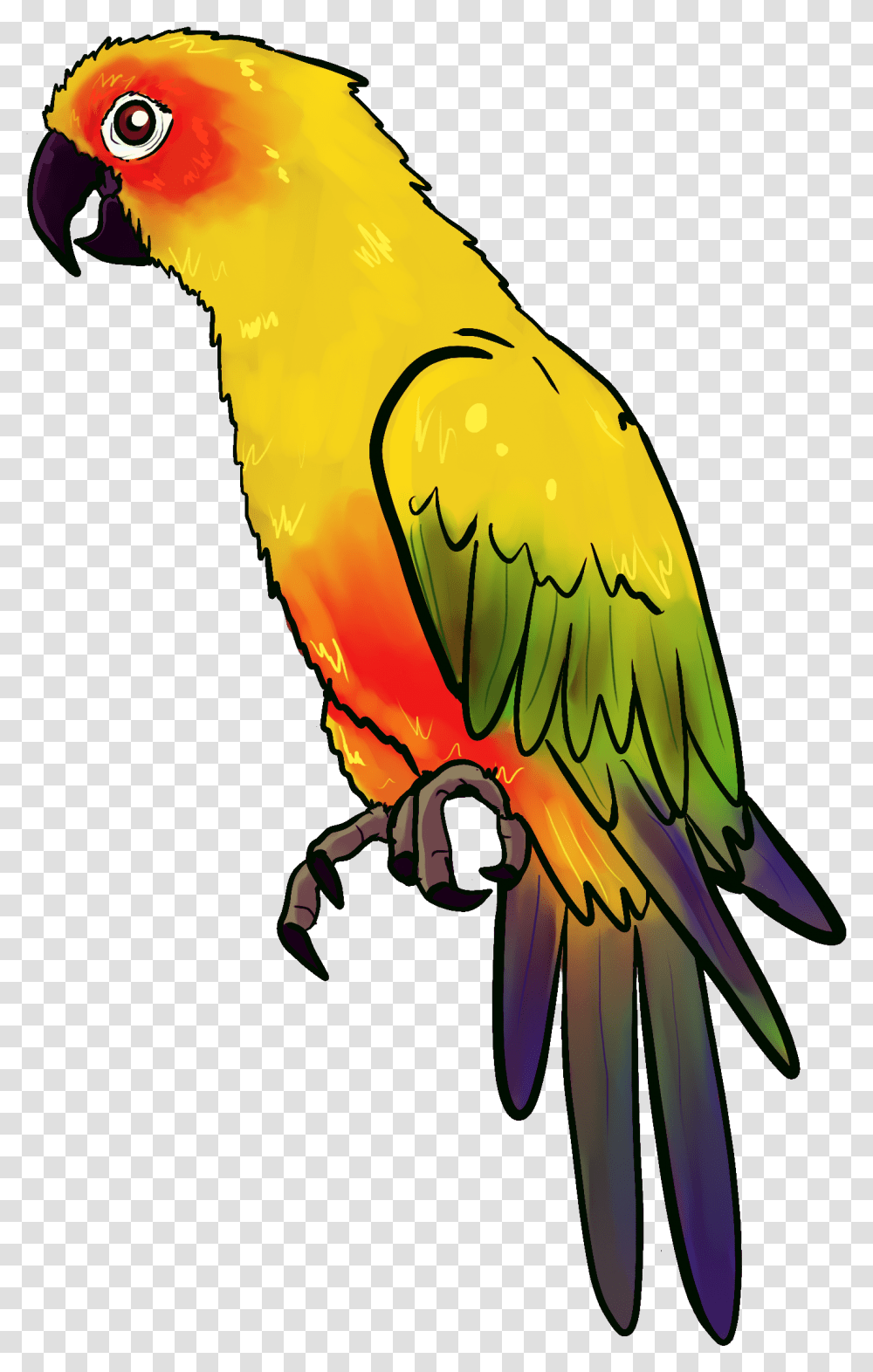 Drawing Of An Yellow Parrot Free Image Parrot Drawing, Macaw, Bird, Animal Transparent Png