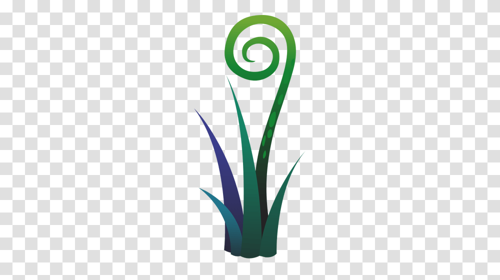 Drawing Of Blue And Green Fern Plant, Aloe, Flower, Blossom, Pineapple Transparent Png