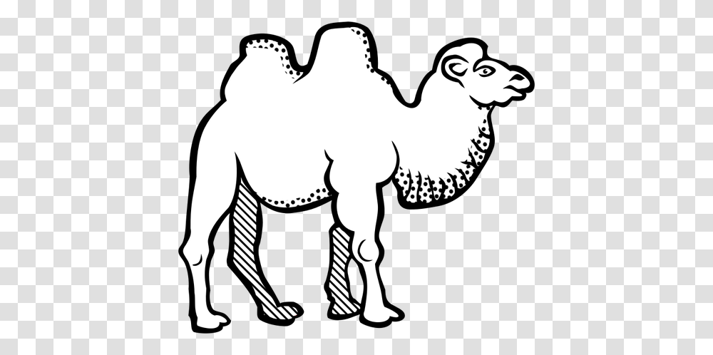 Drawing Of Camel With Spotty Throat Line Art, Mammal, Animal, Horse Transparent Png