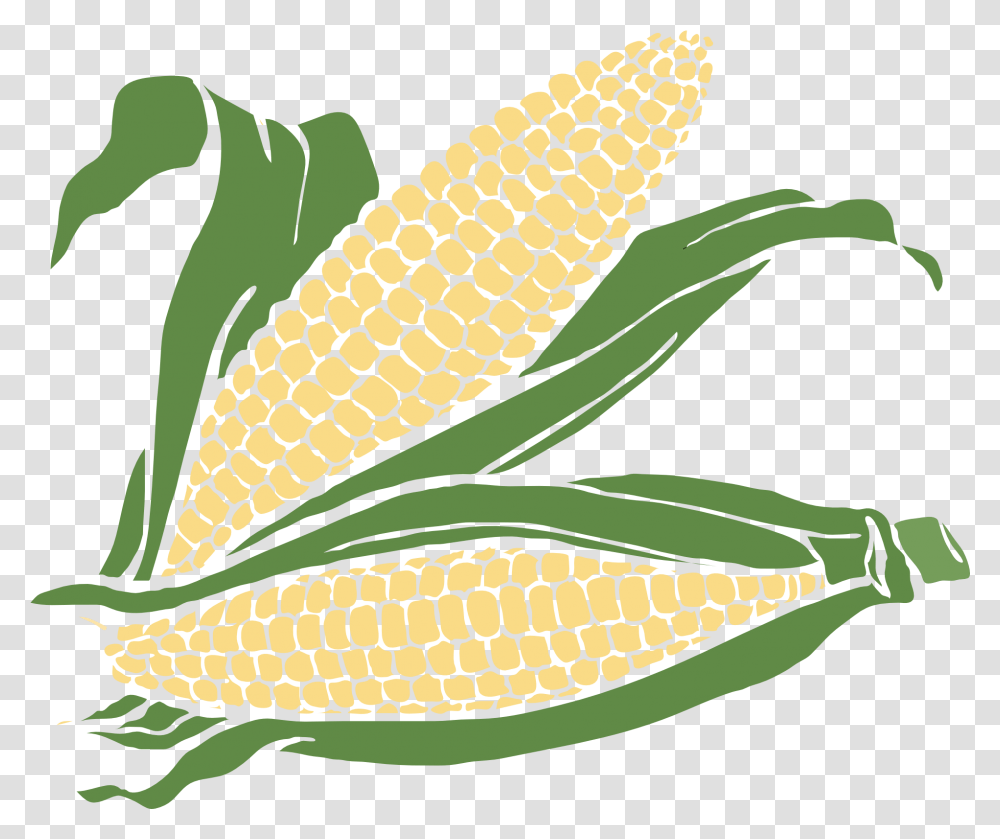 Drawing Of Corn Cobs With Leaves Free Image Background Corn Clipart, Plant, Vegetable, Food, Banana Transparent Png