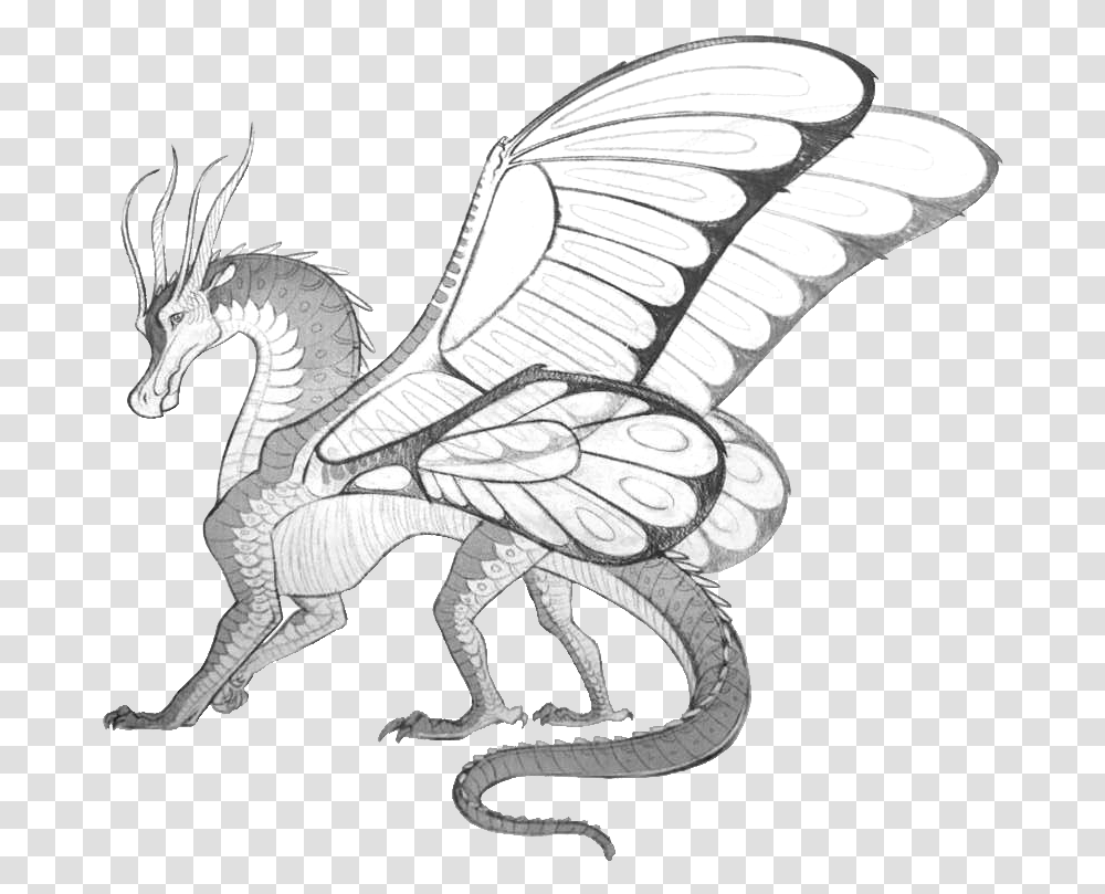 Drawing Of Fire Wings Of Fire Silkwings, Dragon, Dinosaur, Reptile, Animal Transparent Png