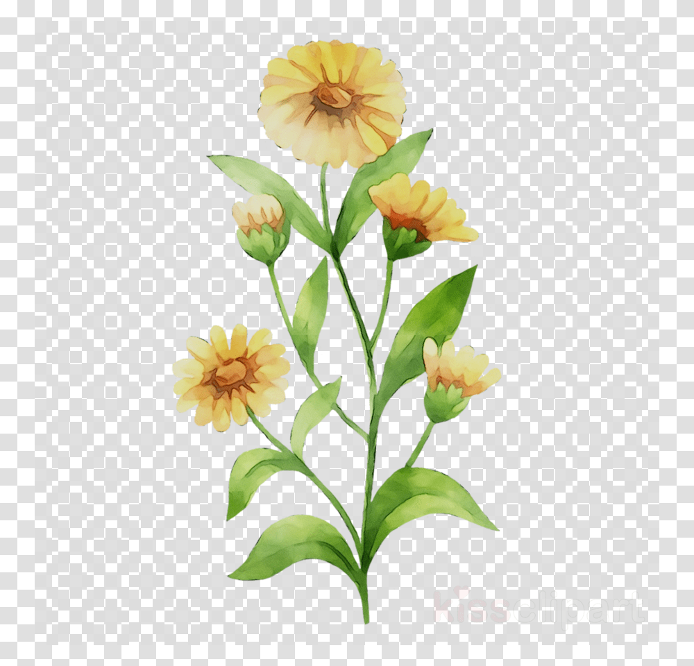 Drawing Of Fish In Aquarium, Plant, Flower, Blossom, Texture Transparent Png