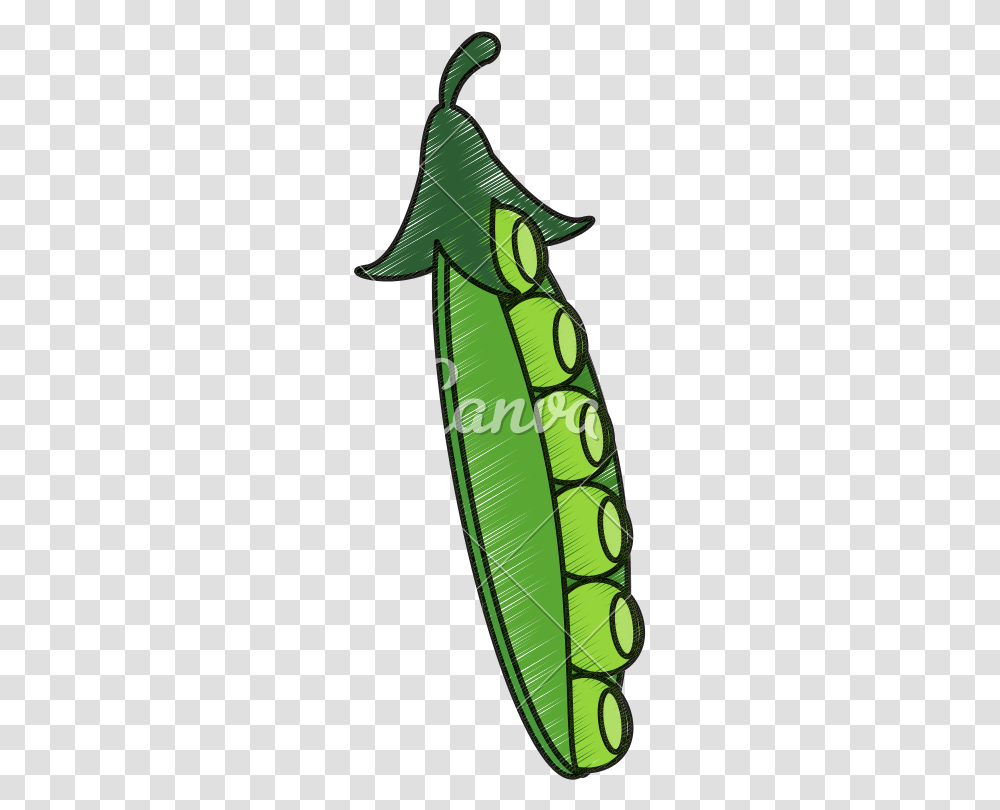 Drawing Of Peapod Snap Pea, Plant, Vegetable, Food Transparent Png