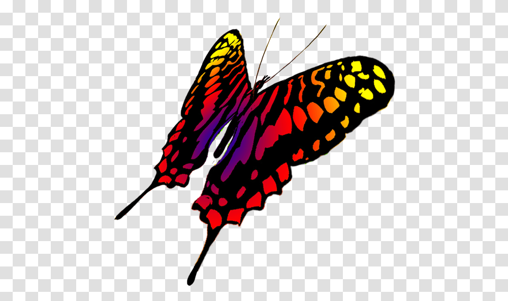 Drawing Of Swallowtail Butterfly Butterfly, Insect, Invertebrate, Animal, Monarch Transparent Png