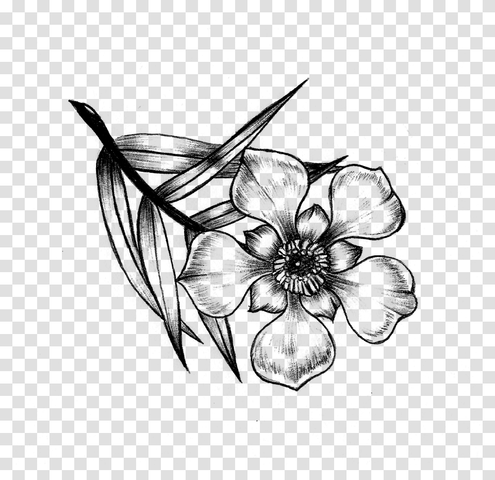 Drawing Of The Manuka Flower, Gray, World Of Warcraft Transparent Png