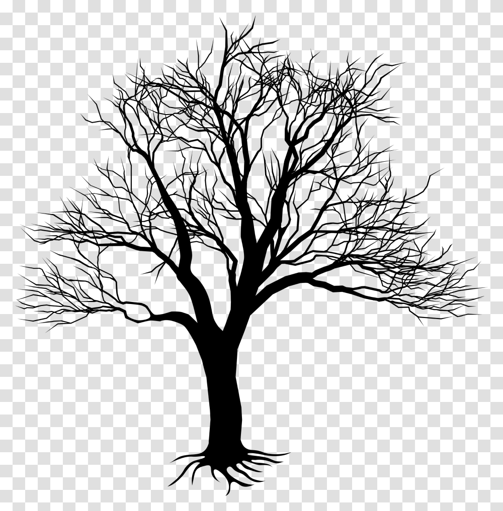 Drawing Of Tree On Wall Clipart Best Tree Drawing Wall Art, Plant, Tree Trunk, Oak, Green Transparent Png