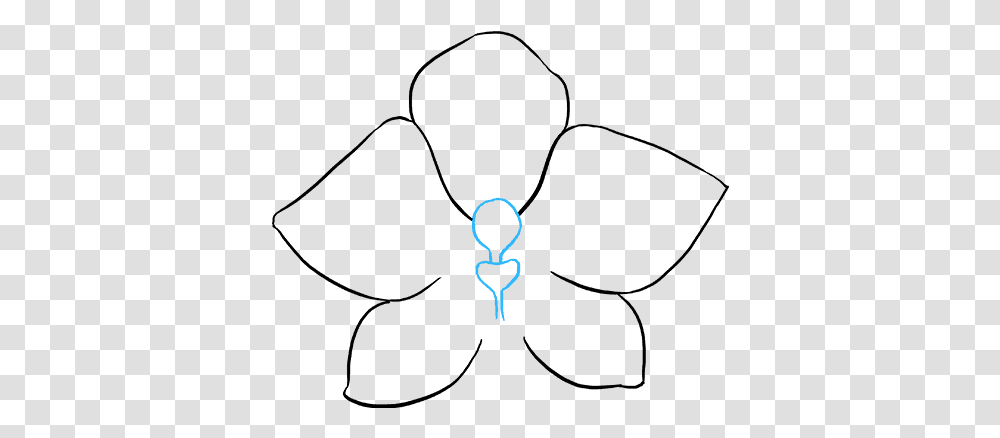 Drawing Orchid, Alphabet, Light Transparent Png