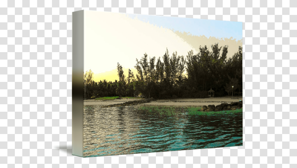 Drawing Rivers Reflection, Water, Nature, Outdoors, Tree Transparent Png