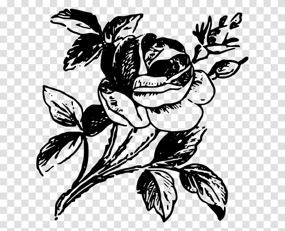 Drawing Rose Black And White Stencil, Gray, World Of Warcraft Transparent Png