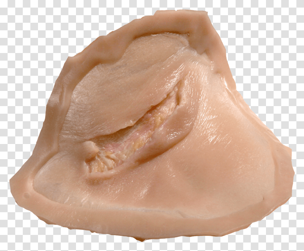 Drawing Scars Bruise Turkey Meat, Ravioli, Pasta, Food, Person Transparent Png
