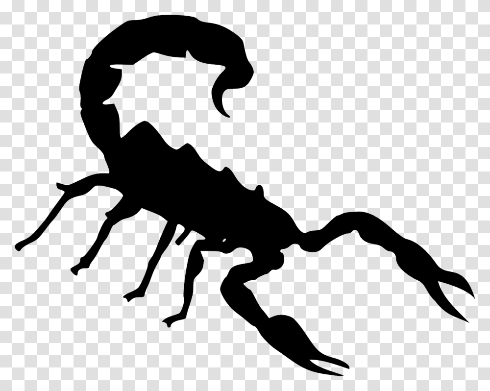 Drawing Scorpion Scorpio Scorpioni Clipart, Stencil, Invertebrate, Animal, Silhouette Transparent Png