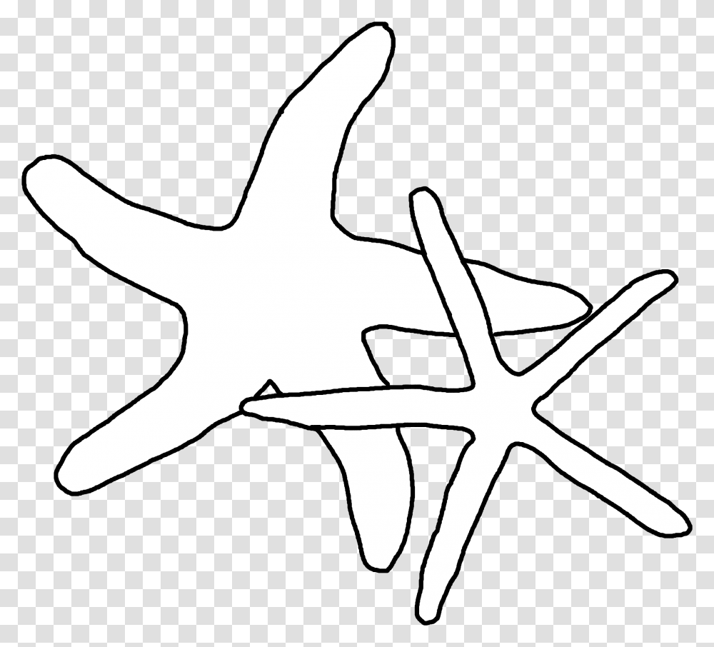 Drawing Shell Starfish Starfish, Animal, Person, Human Transparent Png
