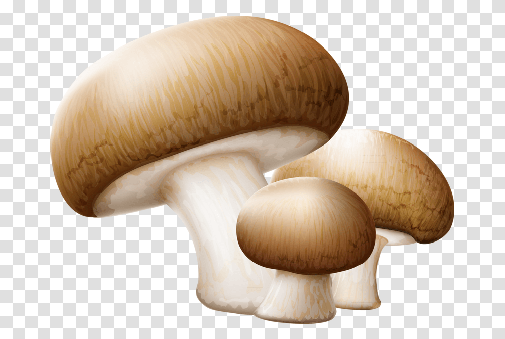 Drawing Shrooms Shiitake Mushroom Background Mushroom Clip Art, Fungus, Plant, Amanita, Agaric Transparent Png