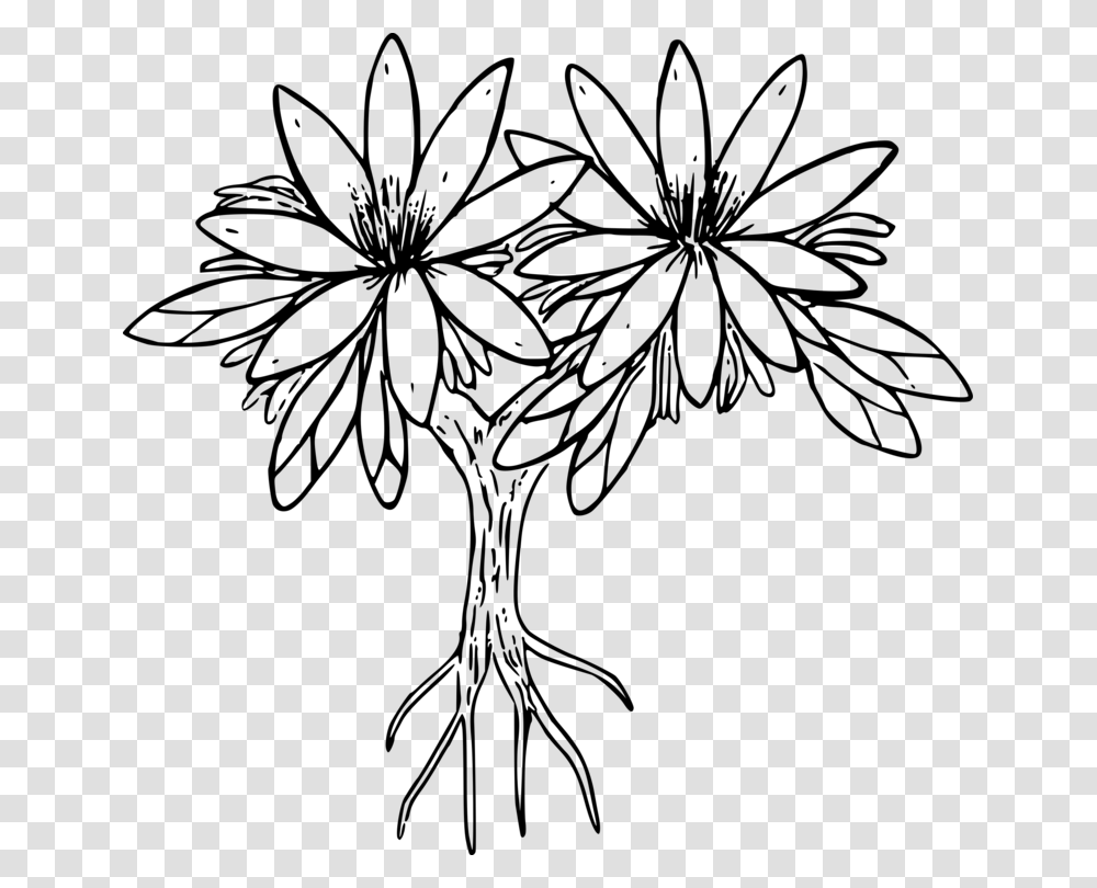 Drawing Siskiyou Lewisia Floral Design Black And White, Gray, World Of Warcraft Transparent Png