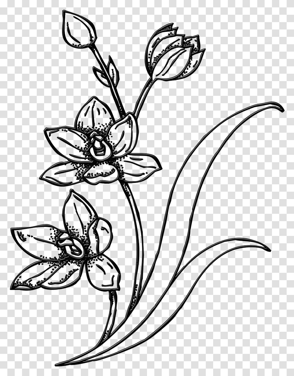 Drawing Spring Garden Pencil Butterflies And Flower Drawings, Floral Design, Pattern Transparent Png