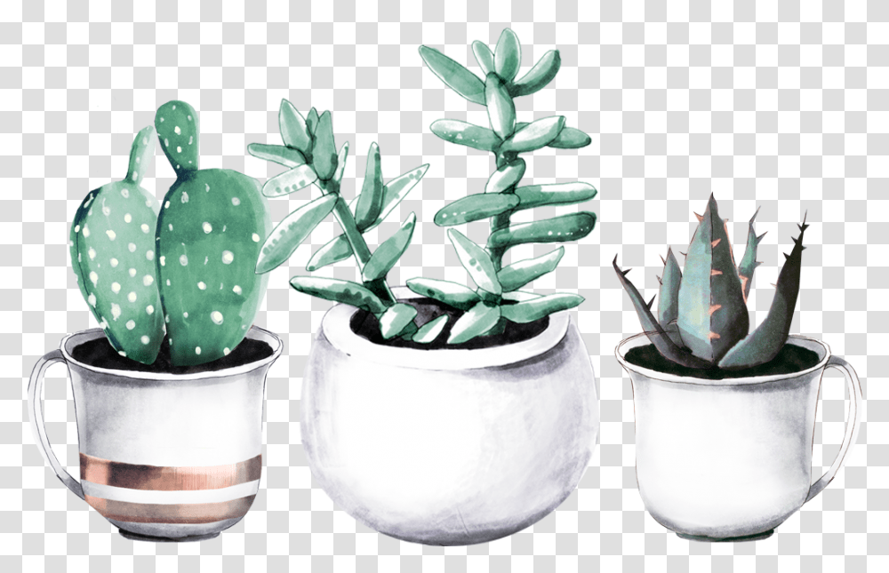 Drawing Succulent Watercolor Succulent Plants, Cactus, Aloe Transparent Png