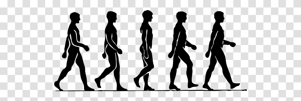 Drawing The Human Figure Tips For Beginners Man Walking Step By Step, Gray, World Of Warcraft Transparent Png