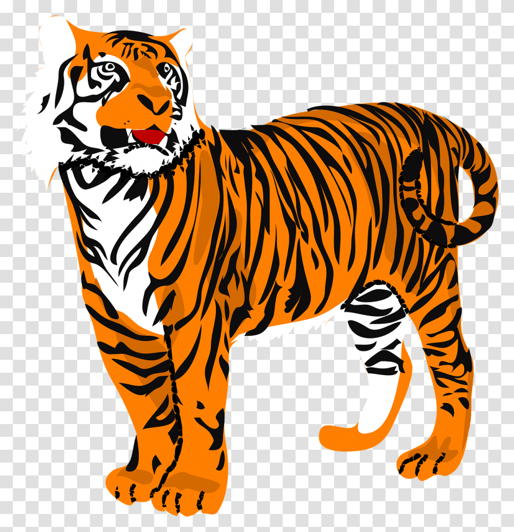 Drawing Tigers Angry Clipart Tiger, Wildlife, Mammal, Animal, Zebra Transparent Png