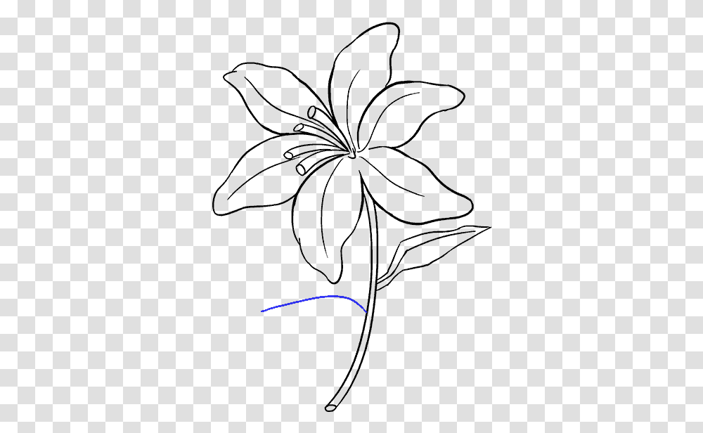 Drawing Tigers Lilies Lily Flower Drawing Easy, Outdoors, Nature, Light, Screen Transparent Png
