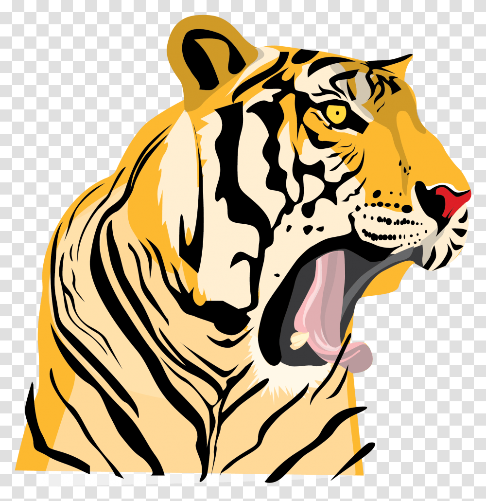Drawing Tigers Roaring Tiger Roaring Drawing Cartoon, Mammal, Animal, Wildlife, Lion Transparent Png